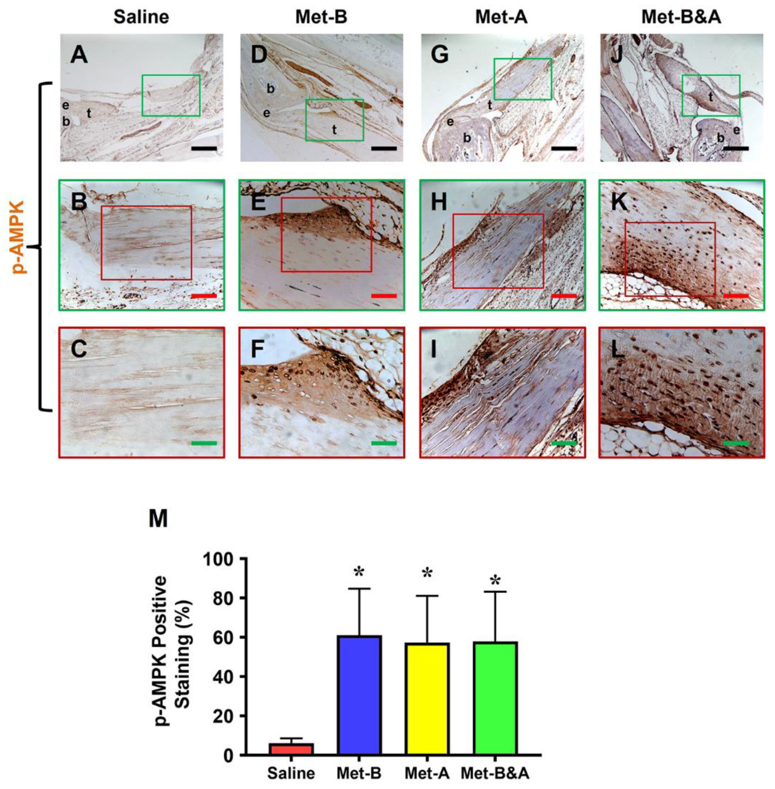 Preprints 90132 g003