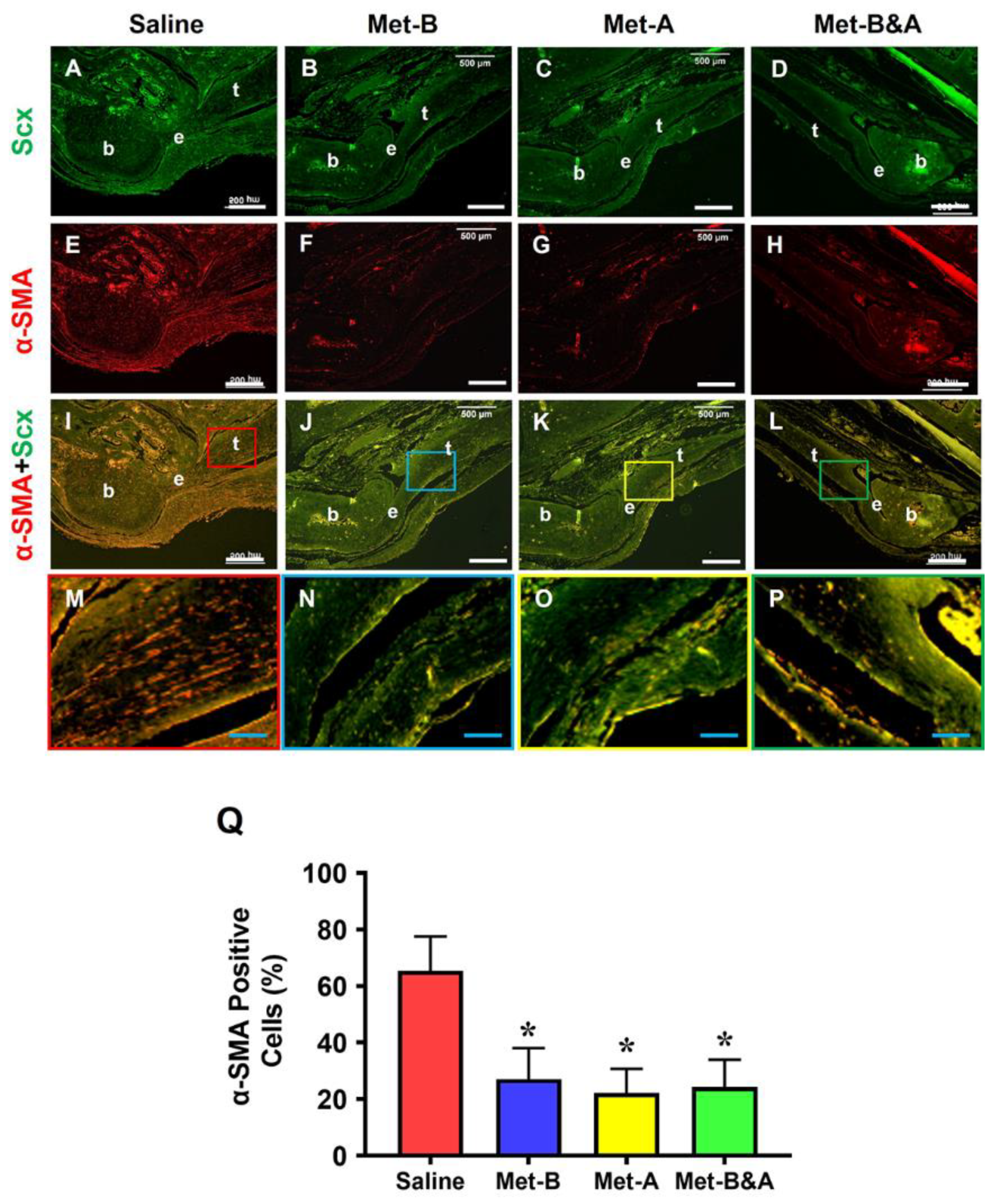 Preprints 90132 g005