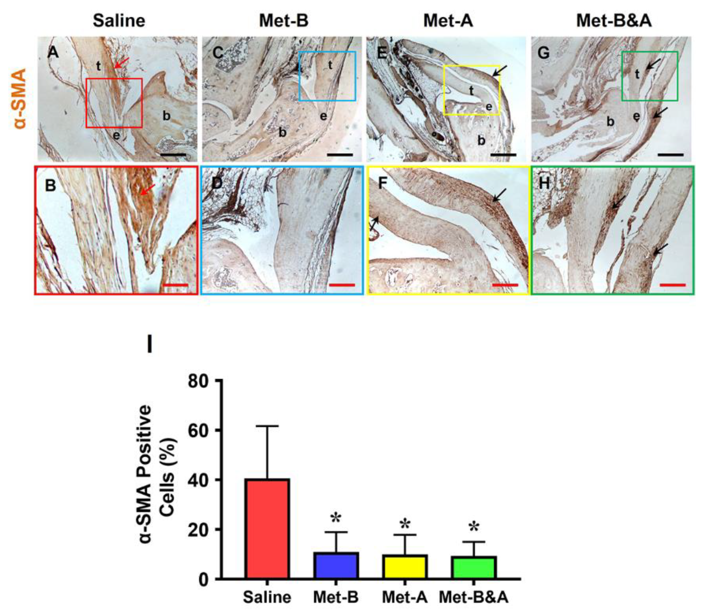 Preprints 90132 g006