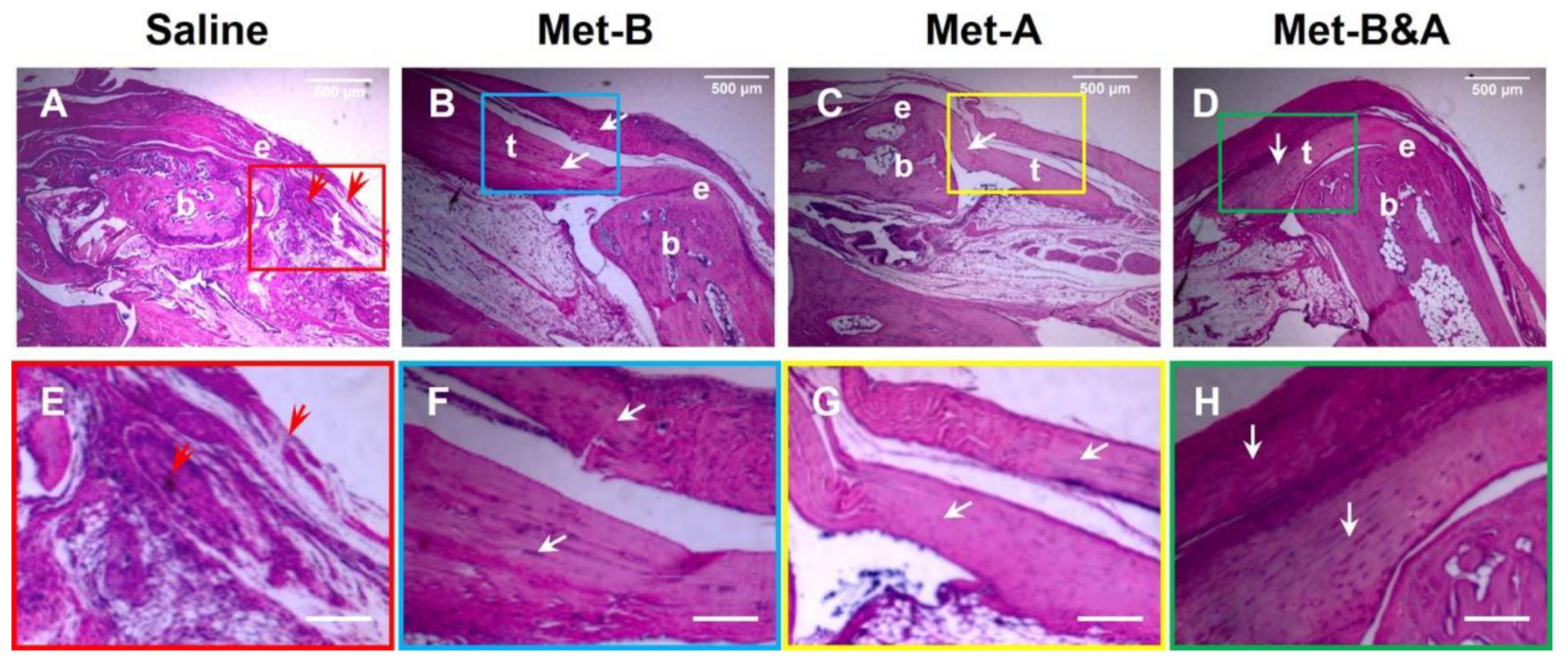 Preprints 90132 g007