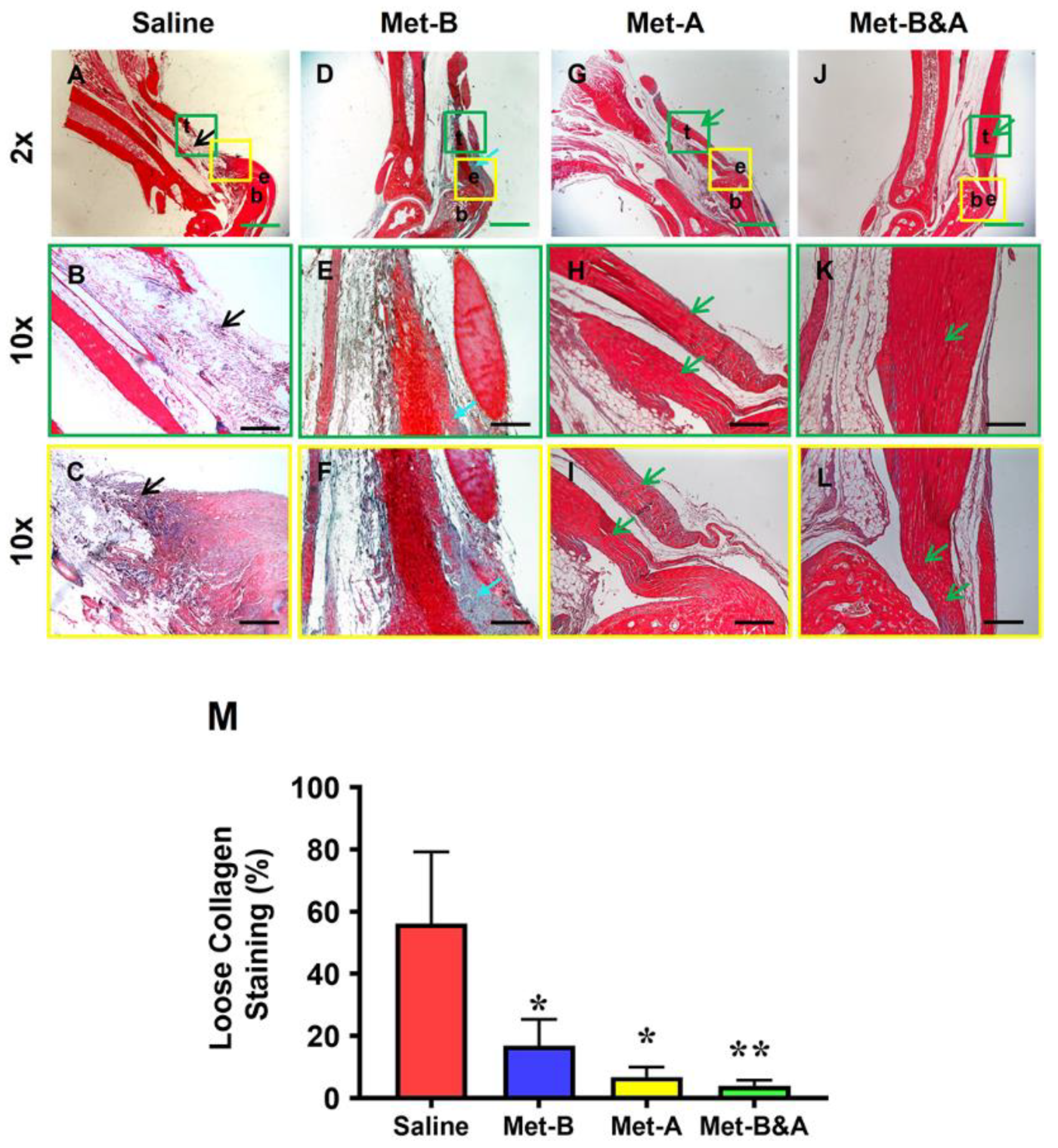 Preprints 90132 g008