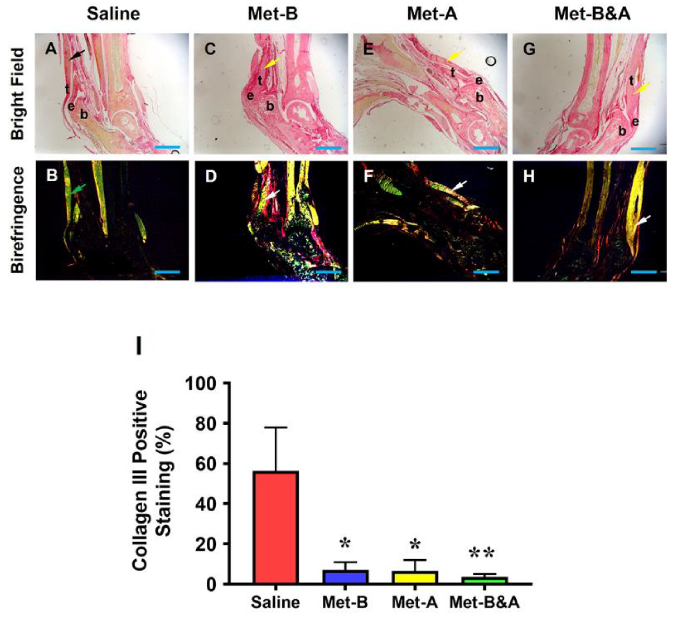 Preprints 90132 g009