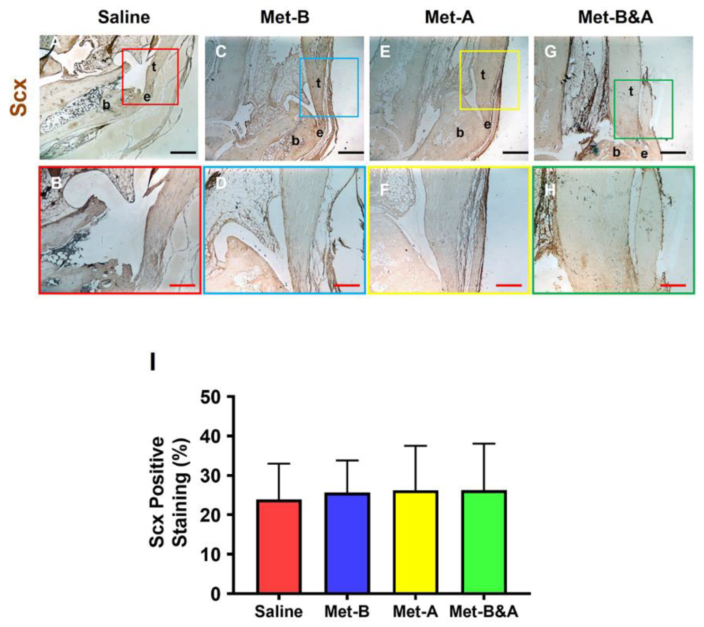 Preprints 90132 g010