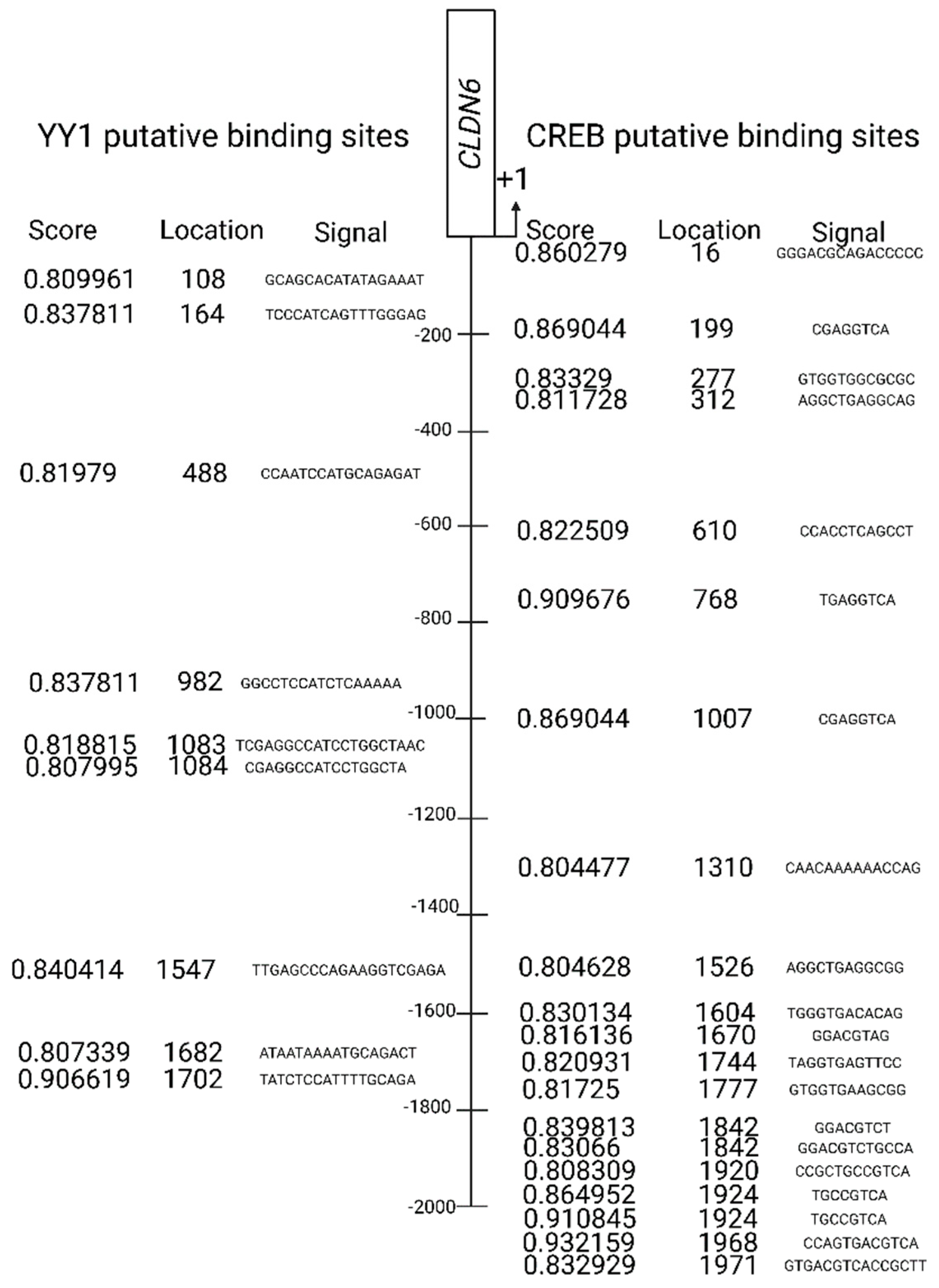 Preprints 83092 g001