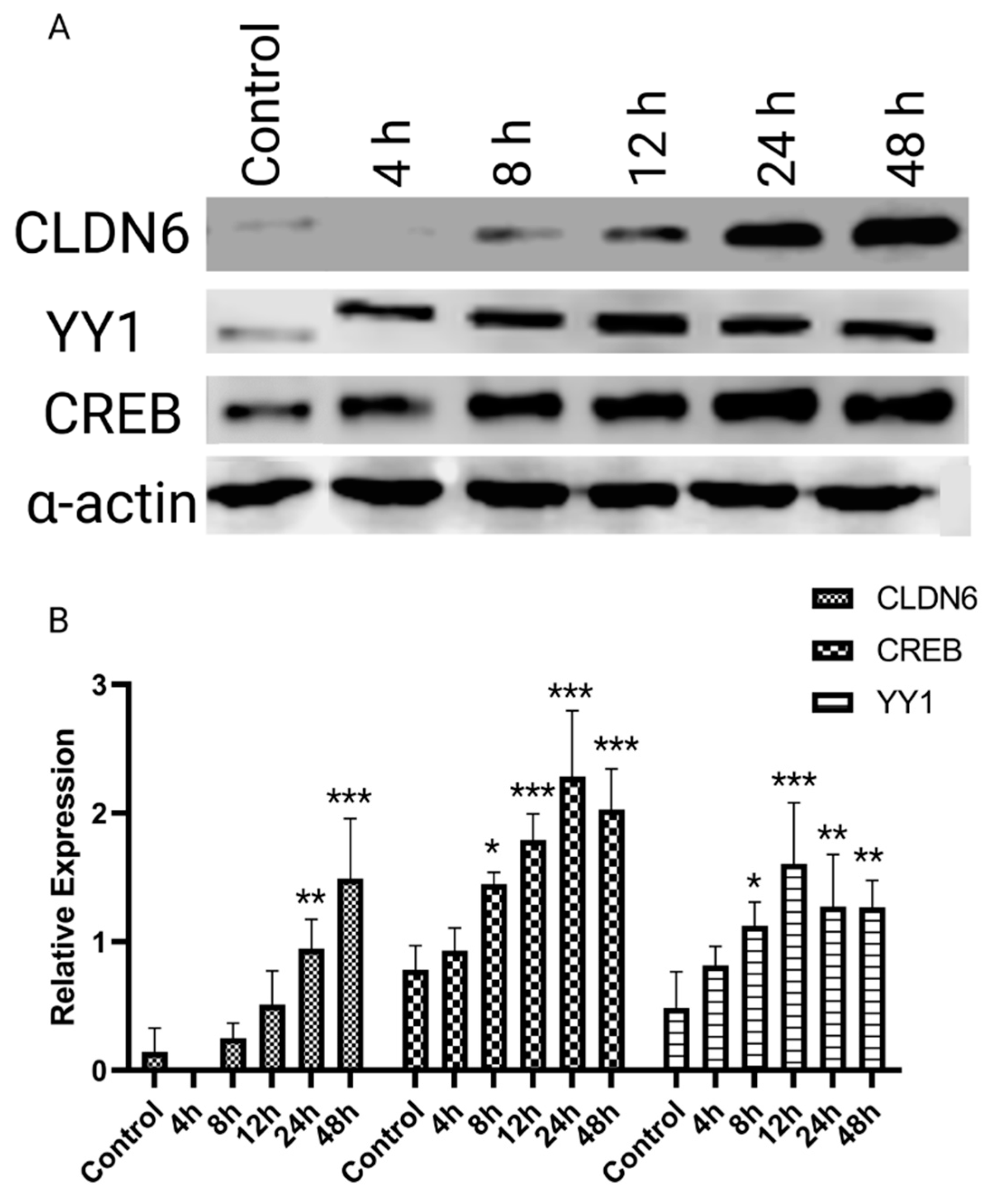 Preprints 83092 g002