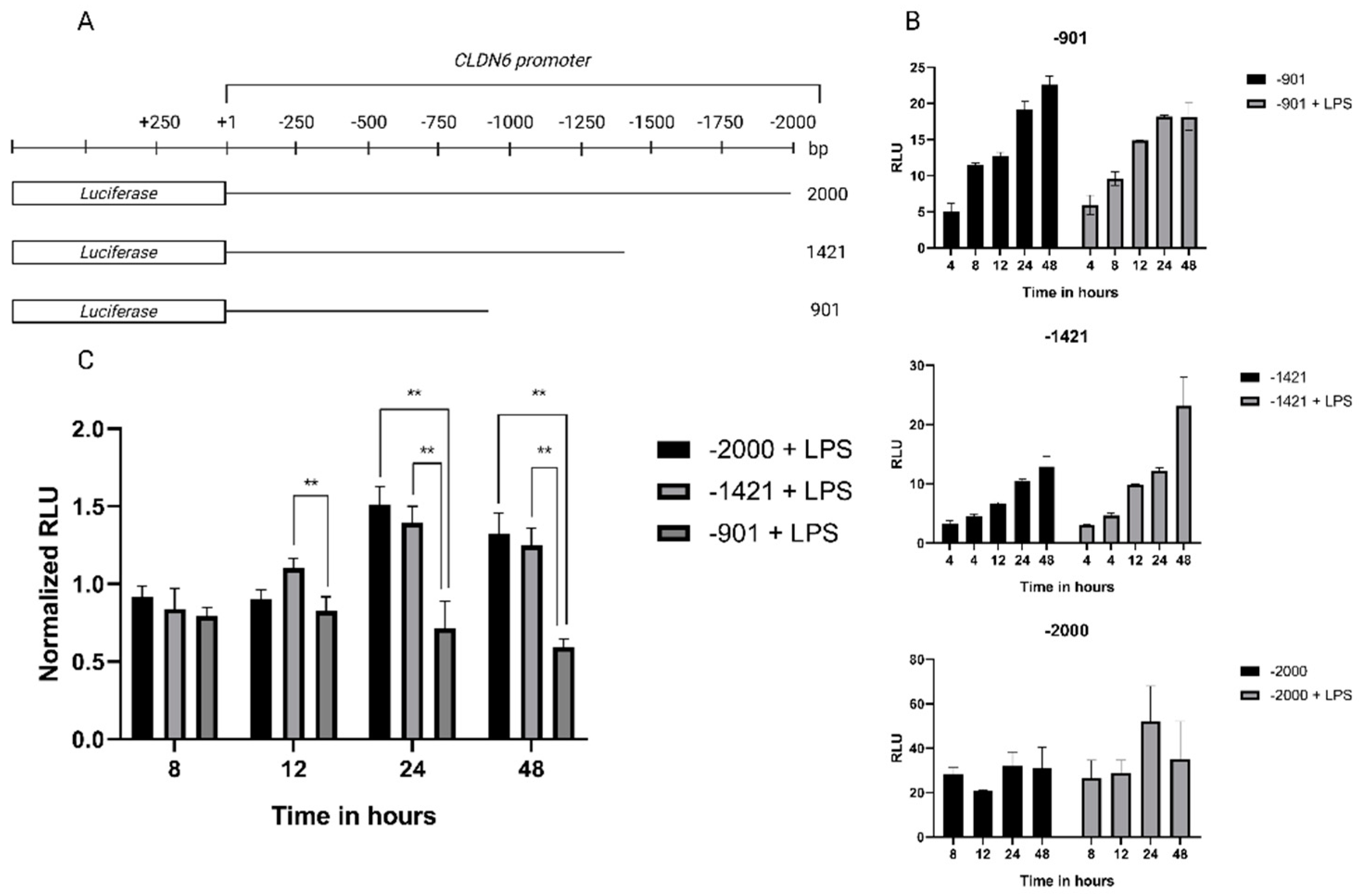 Preprints 83092 g003