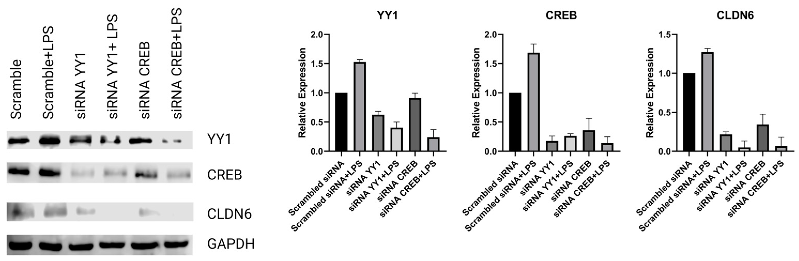 Preprints 83092 g004