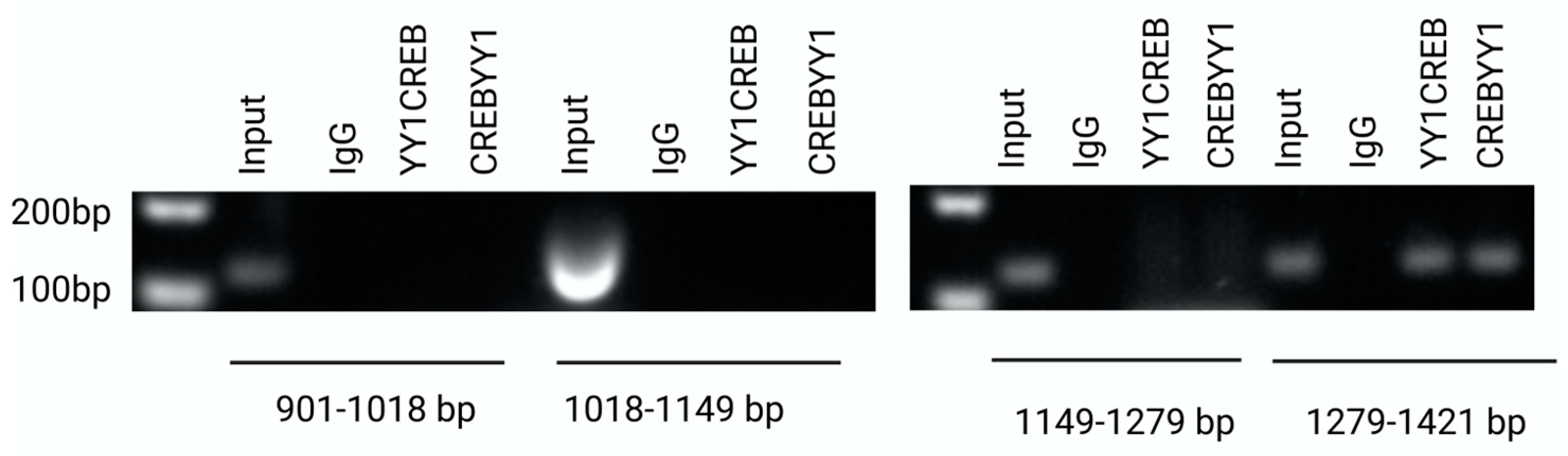 Preprints 83092 g006