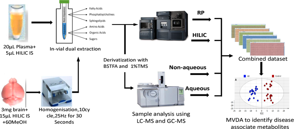 Multimodal Metabolomics Combining Uplc Qtof Ms And Gc Ms Data In Plasma And Brain Tissue V1 Preprints