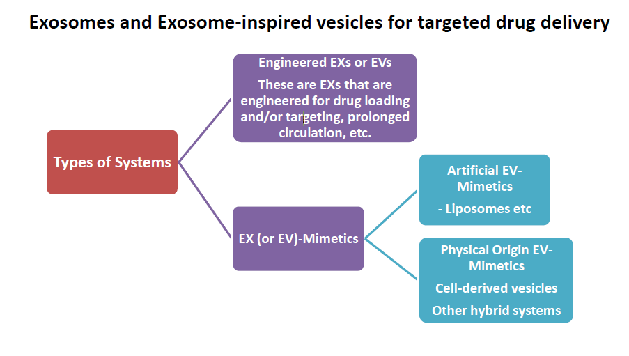 Exosomes And Exosome Inspired Vesicles For Targeted Drug Delivery V1 Preprints