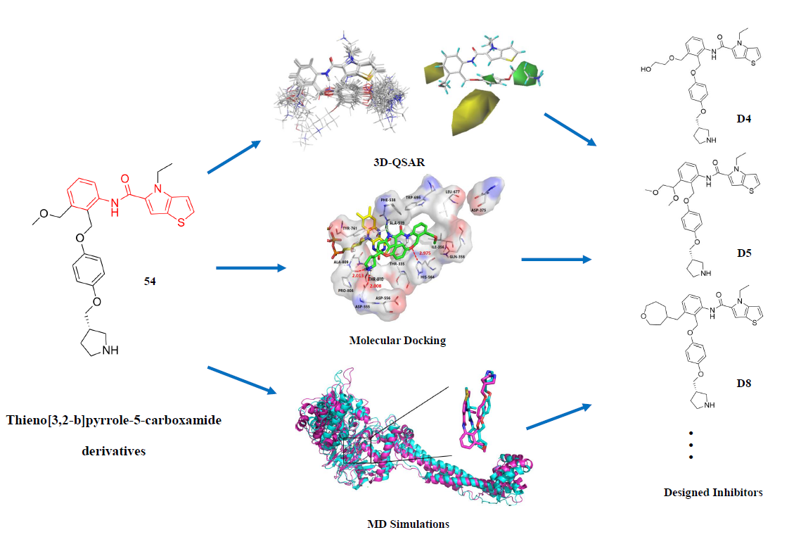 3d Qsar Molecular Docking And Molecular Dynamics Simulation Study Of Thieno 3 2 B Pyrrole 5 Carboxamide Derivatives As Lsd1 Inhibitors V1 Preprints