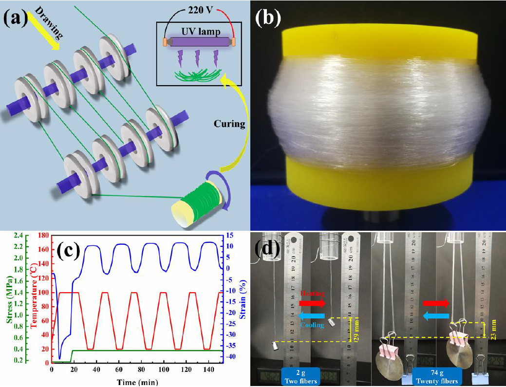 Design Of Ethylene Vinyl Acetate Copolymer Fiber With Two Way Shape Memory Effect V1 Preprints