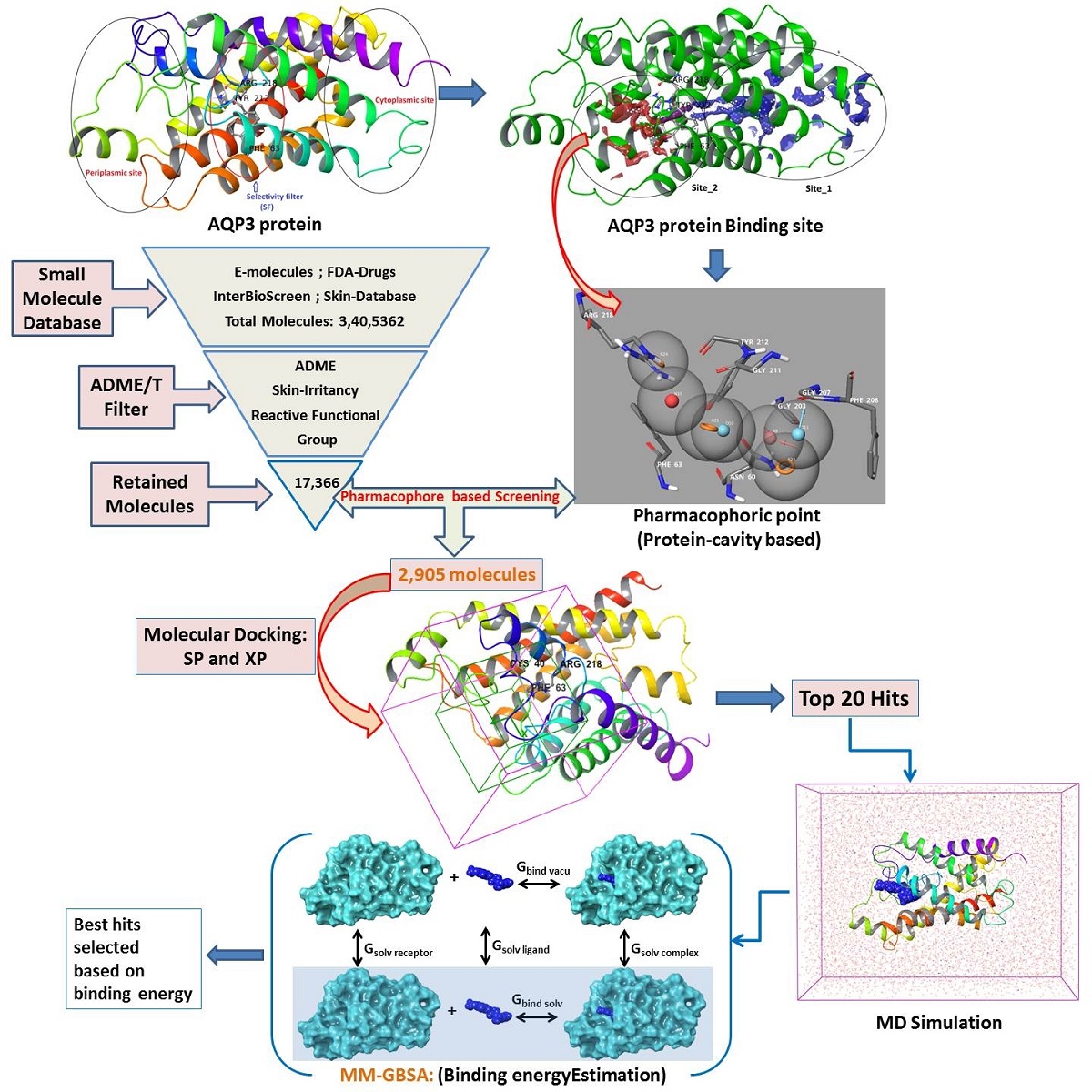 Computational Modeling On Aquaporin 3 As Skin Cancer Target A Virtual Screening And Molecular Dynamic Simulation Study V1 Preprints