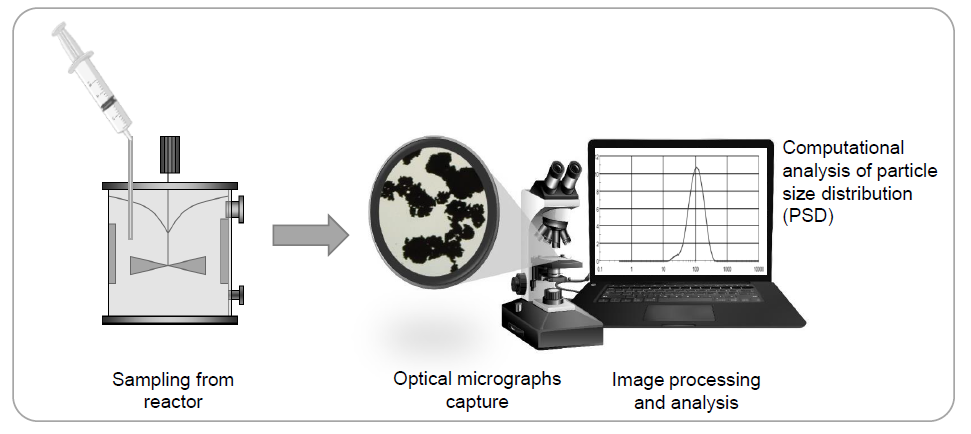 Determination Of Size Distribution Of Precipitation Aggregates Using Non Invasive Microscopy And Semiautomated Image Processing And Analysis V1 Preprints