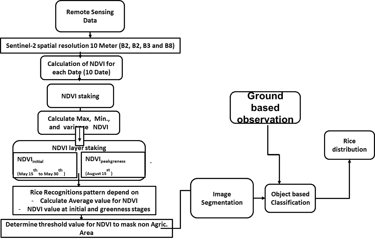 Integrated Method For Rice Cultivation Monitoring Using Sentinel 2 Data And Leaf Area Index V1 Preprints