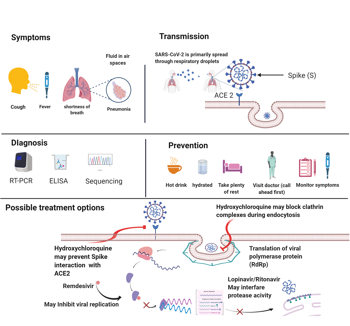 The Epidemiology Evolution Transmission And Therapeutics Of Covid 19 Outbreak An Update On The Status V1 Preprints