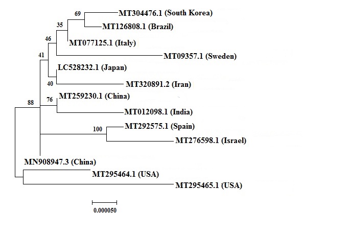 Comparative Genomics Of Global Sars Cov 2 Quasispecies Offers Insights Into Its Microevolution And Holds Implications For Pathogenesis And Control V1 Preprints