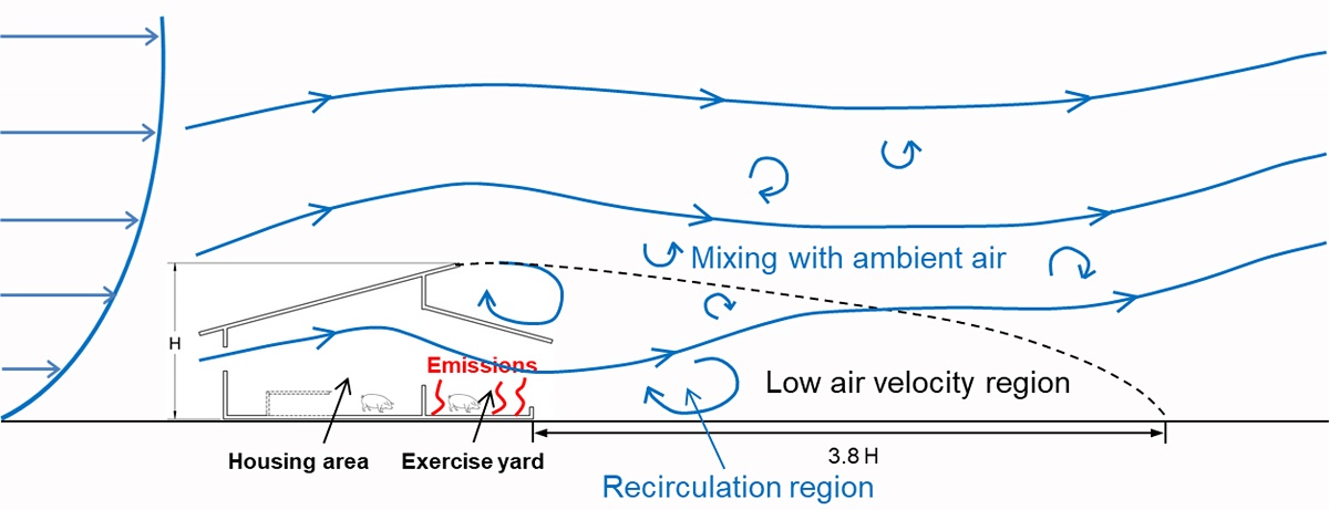 Airflow Characteristics Downwind A Naturally Ventilated Pig Building With A Roofed Outdoor Exercise Yard And Implications On Pollutant Distribution V1 Preprints