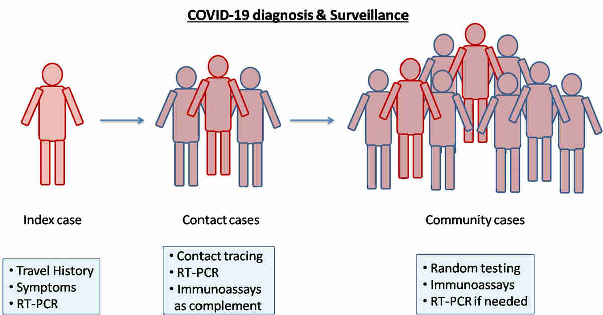 Mass Antibody Detection Can It Be An Avenger For Infectivity War Against Covid 19 V1 Preprints