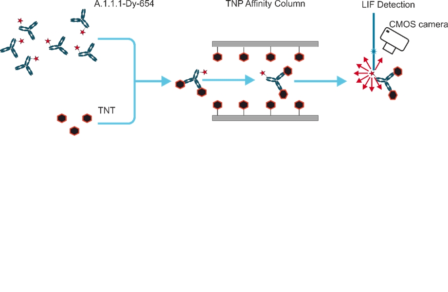 Fast Detection Of 2 4 6 Trinitrotoluene Tnt At Ppt Level By An Immunosensor Based On Kinetic Competition V1 Preprints
