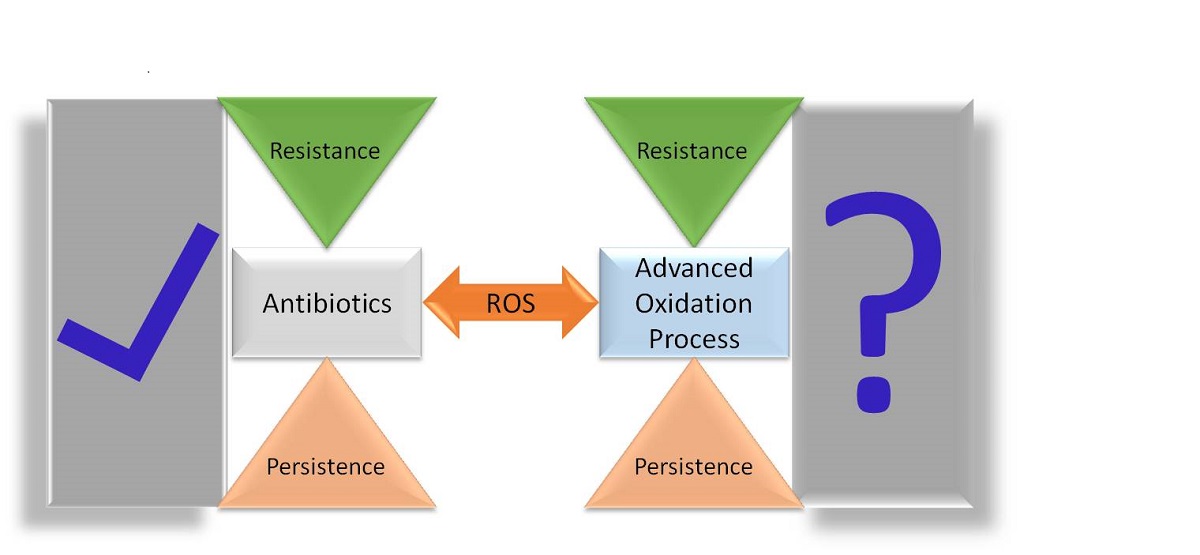 Advanced Oxidation Process Based Water Disinfection The Microbiology Beyond Bacterial Inactivation V1 Preprints