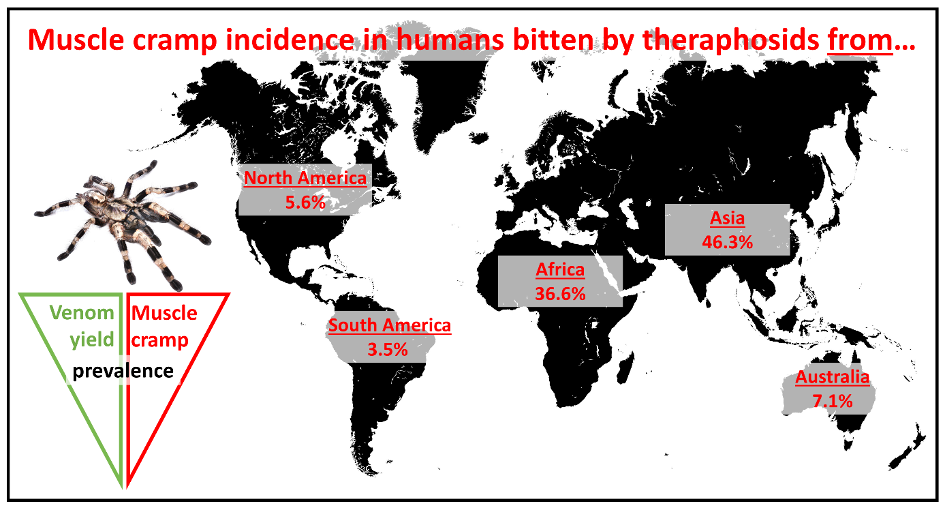 Muscle Spasms A Common Symptom Following Theraphosid Spider Bites V2 Preprints