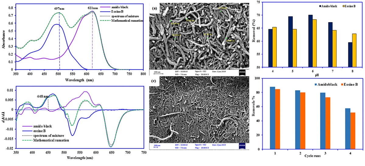 Effective Removal Of Amido Black And Eosin B Dyes In Aqueous Solution By Mwcnt Zro2 Pb Nanocomposites Isotherm Reusability And Kinetic Studies V1 Preprints