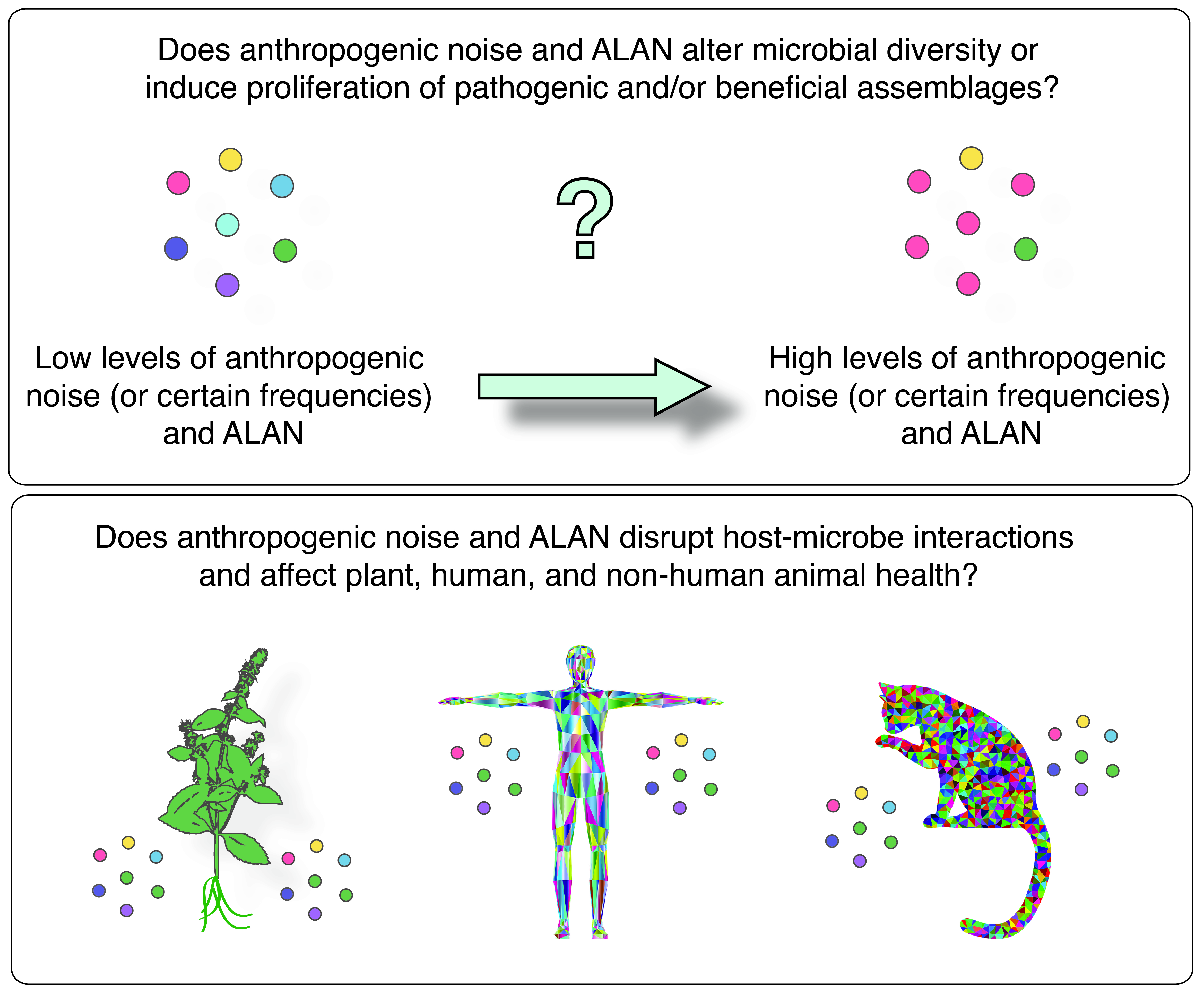 The Effects Of Anthropogenic Sound And Artificial Light Exposure On Microbiomes Ecological And Public Health Implications V1 Preprints