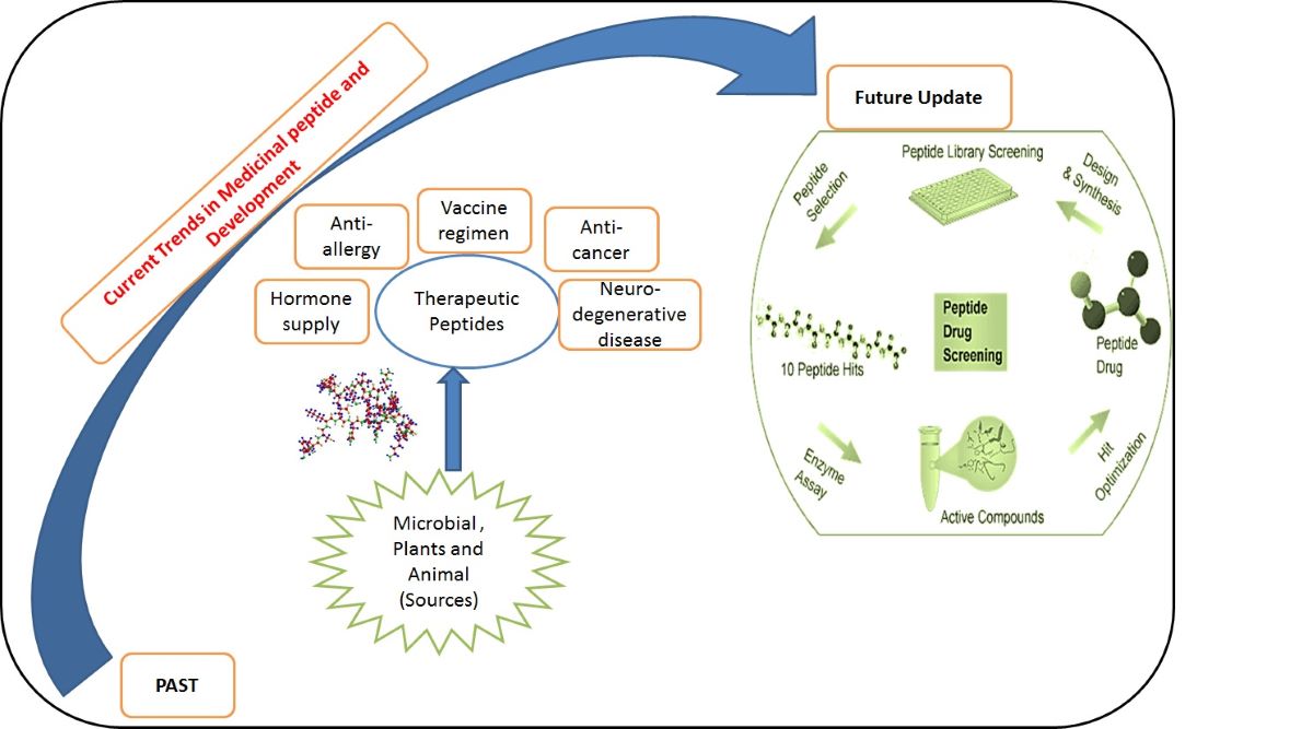 Current Advances In Therapeutic Peptides Past And Future Trends V1 Preprints