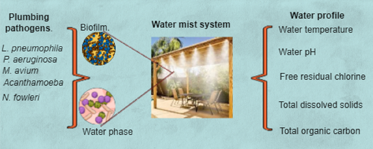 Opportunistic Premise Plumbing Pathogens A Potential Health Risk In Water Mist Systems Used As A Cooling Intervention V1 Preprints