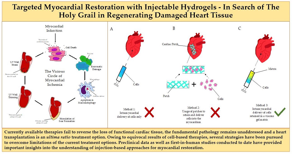 Targeted Myocardial Restoration With Injectable Hydrogels In Search Of The Holy Grail In Regenerating Damaged Heart Tissue V1 Preprints