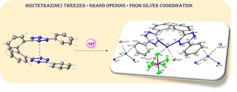 Coordination Chemistry Of A Bis Tetrazine Tweezer A Case Of Host Guest Behavior With Silver Salts V1 Preprints
