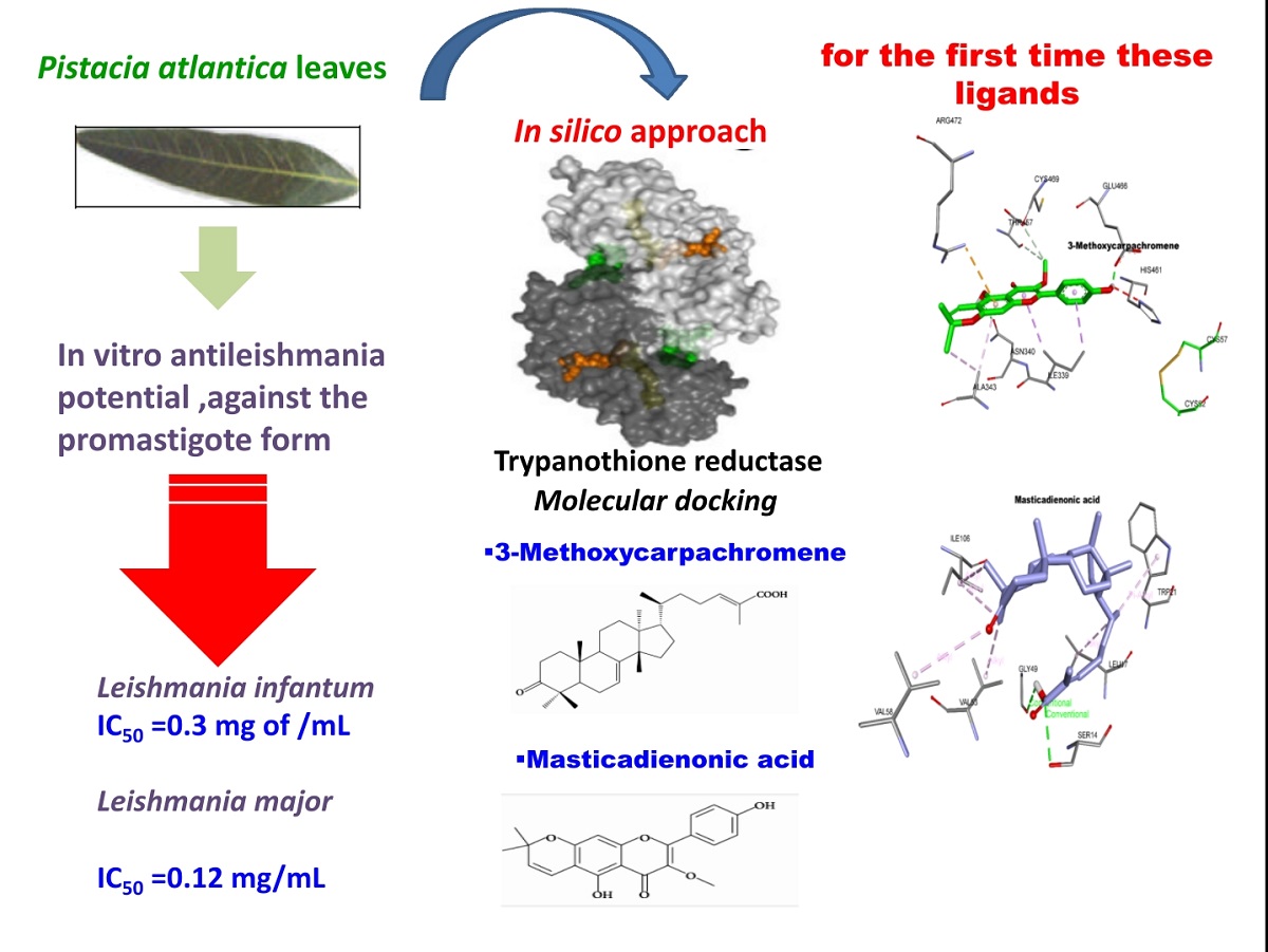 3 Methoxycarpachromene And Masticadienonic Acid As New Target Inhibitors From Pistacia Atlantica Leaves Against Trypanothione Reductase Of Leishmania Parasites In Vitro And In Silico Studies V1 Preprints