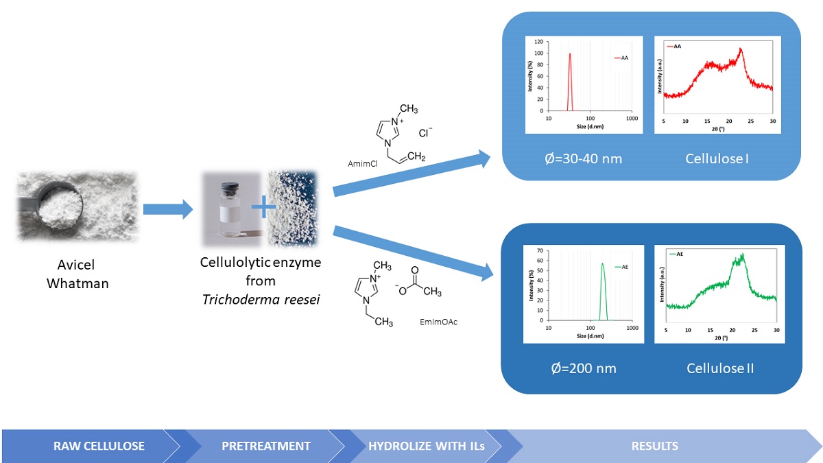 Nanocellulose Production Using Ionic Liquids With Enzymatic Pretreatment V1 Preprints