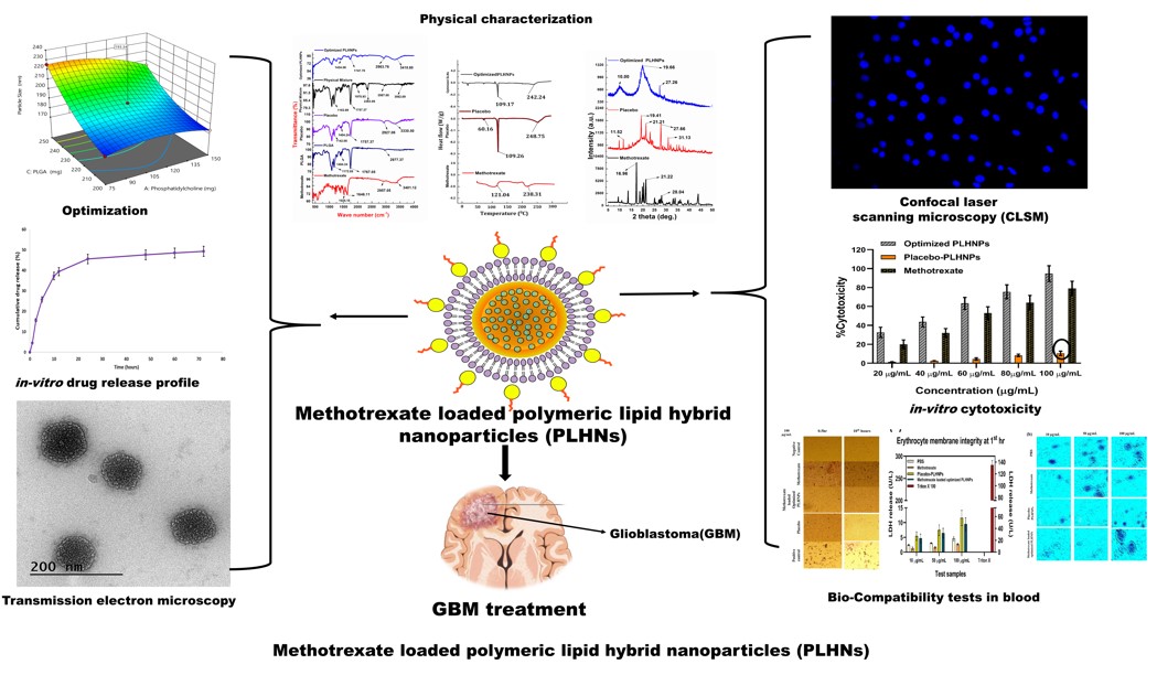 In Vitro Investigation Of Polymeric Lipid Hybrid Nanoparticles Plhns Of A Chemotherapeutic Drug For The Treatment Of Glioblastoma Multiforme V1 Preprints