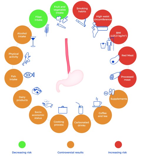 Lifestyle Wcrf Aicr Recommendations And Esophageal Adenocarcinoma Risk A Systematic Review Of The Literature V1 Preprints