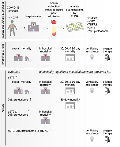 Clinical Relevance Of Elevated Soluble St2 Hsp27 And s Proteasome In Patients With Covid 19 V1 Preprints