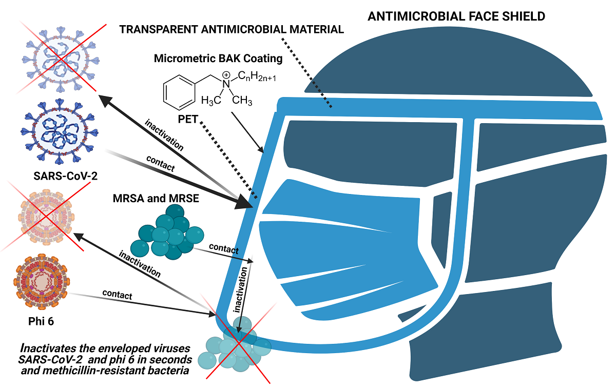 Antimicrobial Face Shield Next Generation Of Facial Protective Equipment Against Sars Cov 2 And Multidrug Resistant Bacteria V1 Preprints