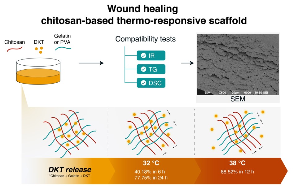 Chitosan Based Thermo Responsive Scaffold For Wound Heal Ing Provides Dexketoprofen Trometamol Controlled Release For 24 Hour Use V1 Preprints